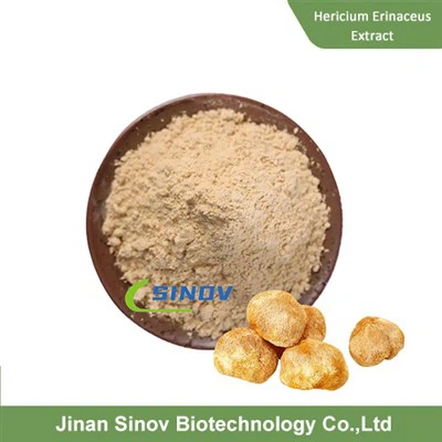 Powdr dyfyniad organig hericium erinaceus